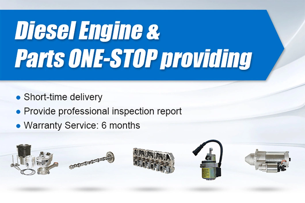 High Quality Diesel Engine Bf6m1013ec Spare Parts 04258751 Camshaft for Deutz