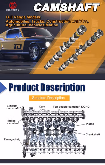 Milexuan Auto Engine Parts Camshaft CS827 Xs646250AA Camshaft for Ford